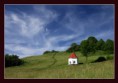 W4AA  ´´ = WEEKEND FOR ANIMA